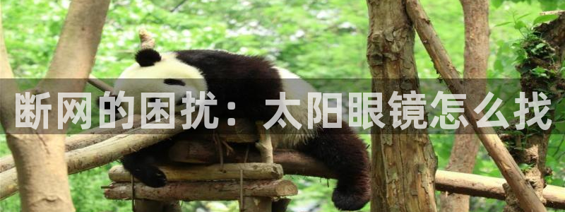 新宝5官方下载地址