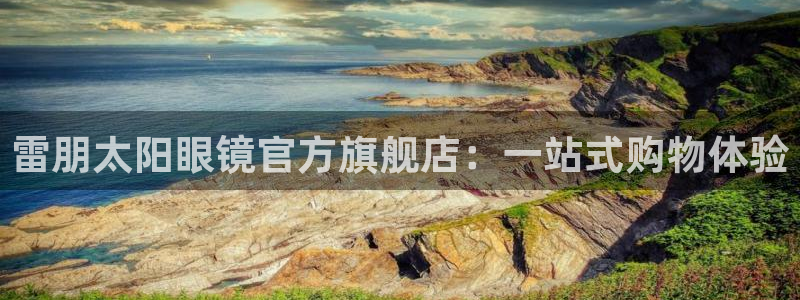 新宝5公司