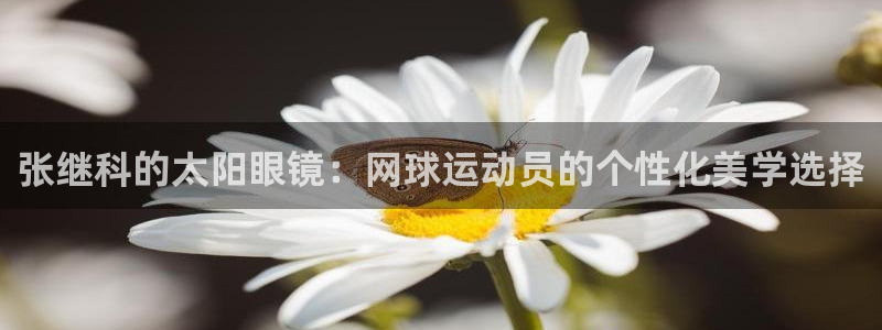 新宝5平棋牌