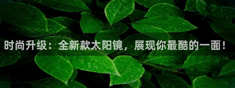 新宝5手机登陆