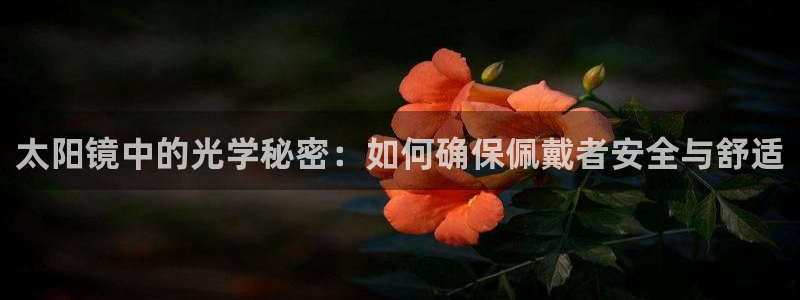 菲律宾新宝5老板