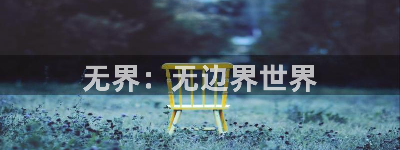 新宝堂新会陈皮5年