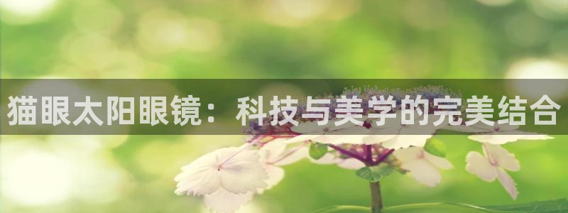 股票5G宝新