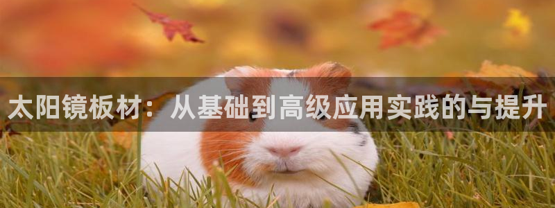 新宝5娱乐如