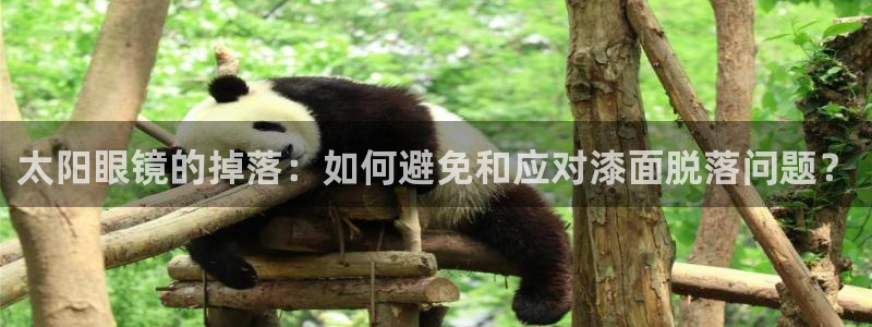 有人知道新宝5么