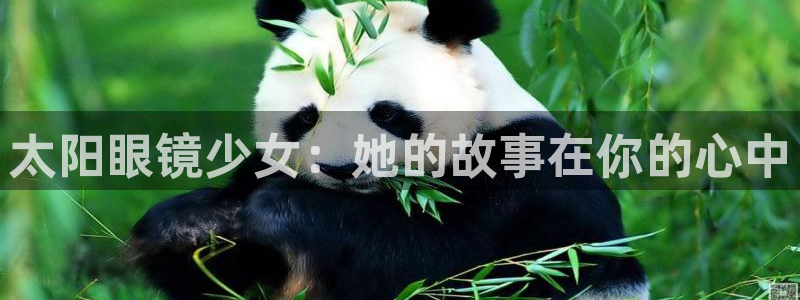 新宝5新宝6顺达